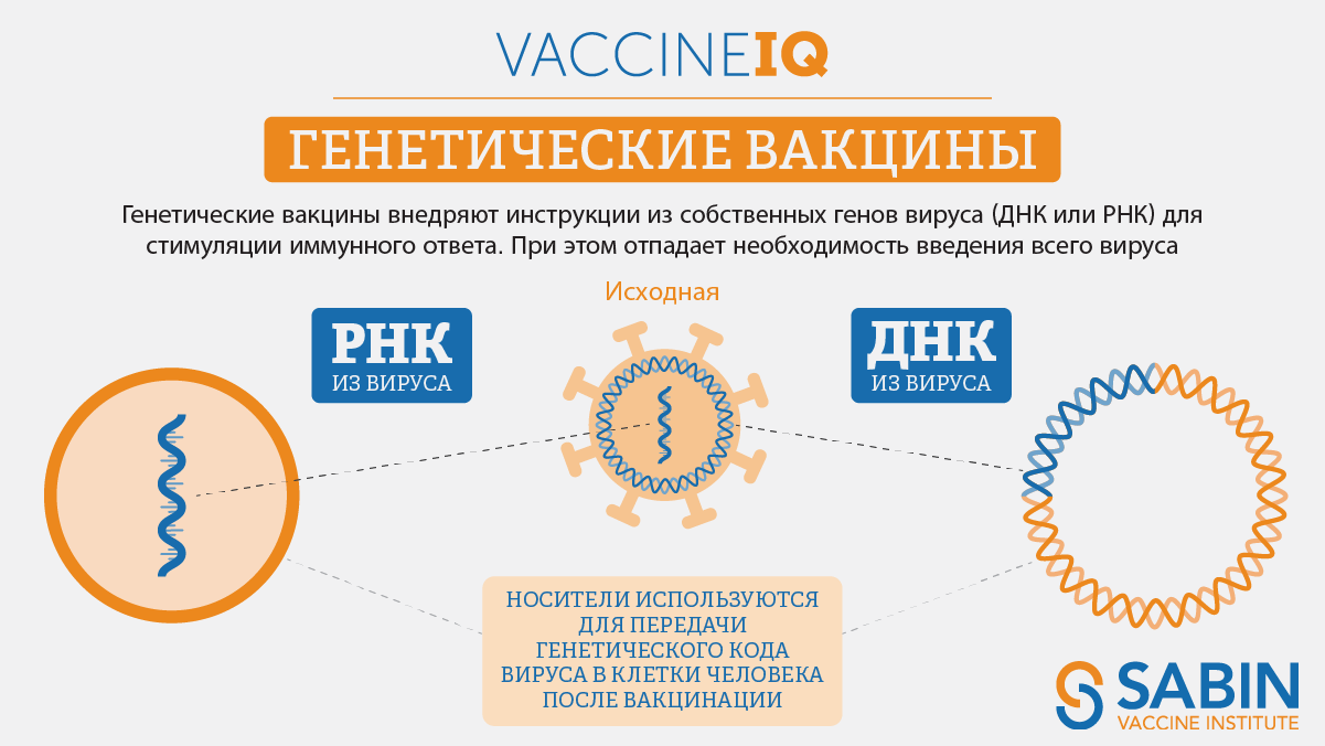 Узнайте о том, как работают подходы, связанные с вакцинами на основе ДНК или РНК.