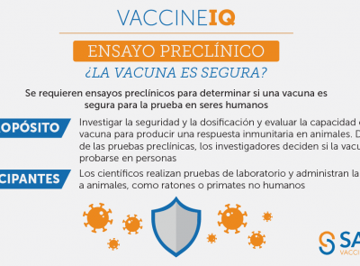 Se requieren ensayos preclínicos para determinar si una vacuna es segura para la prueba en seres humanos.